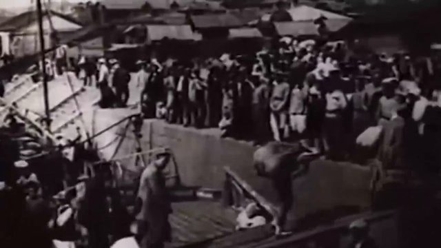 Товары на рынки Царицына привозили на верблюдах,быках и лошадях [HD, 1280x720] смотреть онлайн