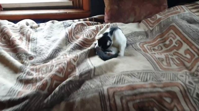 В мастерской и на стройке. смотреть онлайн