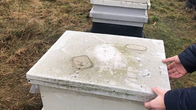 Зимовка пчёл 2022,как оно?