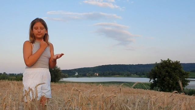 Дорога на ставок, через красивый двор и огороды. Красивый закат. Празднуем Пантелеймона. смотреть онлайн