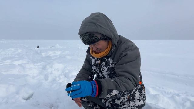 КРУПНЫЕ КРАБЫ | Нашли свой улов ! смотреть онлайн