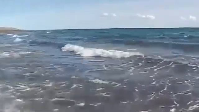 Александр Свияш. Настрой на удачный день