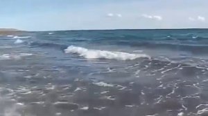 Александр Свияш. Настрой на удачный день