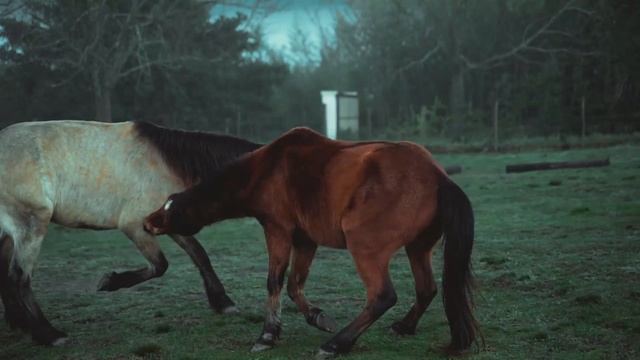 Нина, ГАДАНИЕ на КОФЕЙНОЙ ГУЩЕ это НЕ АРГУМЕНТ!!!/Видео в поддержку канала Олег Тюменский?❤☕? смотреть онлайн
