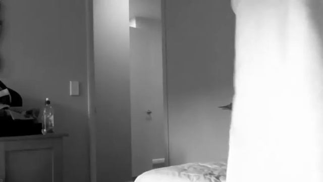 Ghost caught on house cameras смотреть онлайн