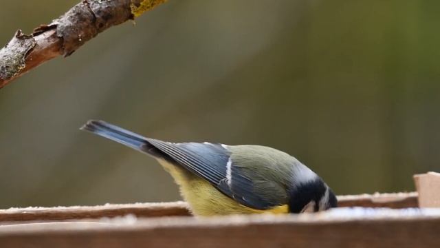 Музыка для Лечебная Снятия Стресса, Усталости, Депресии, Негатива, Детокс негативных эмоций смотреть онлайн