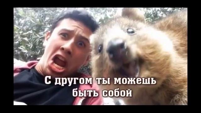 Жизнь - это долгий путь... смотреть онлайн
