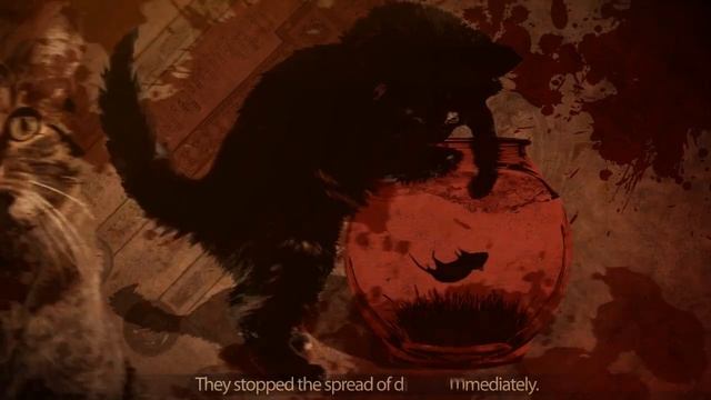 Кошки - вирус заботы смотреть онлайн