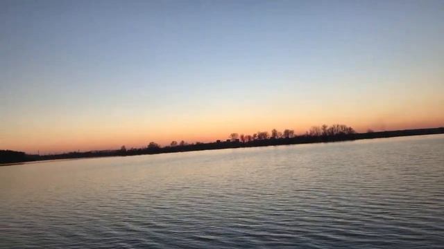 Спокойствие надо  дрессировать !!!