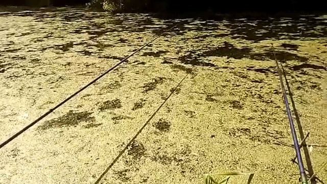 Рыбалка в затоне смотреть онлайн