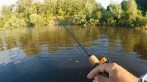 Воблер косит все подряд. Мой секретный воблер от Tsuyoki на голавля и жереха