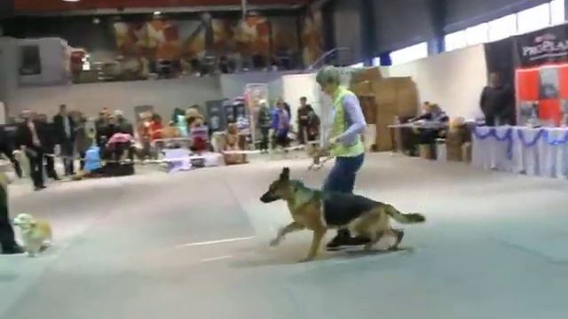 BIG 1 смотреть онлайн