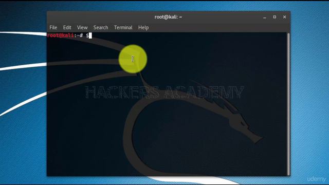 003 Терминал Kali Linux смотреть онлайн