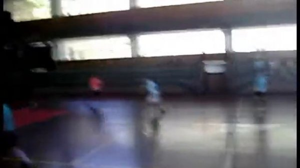 Trofeu Mustela Putorius Furo, o popular furão nº5