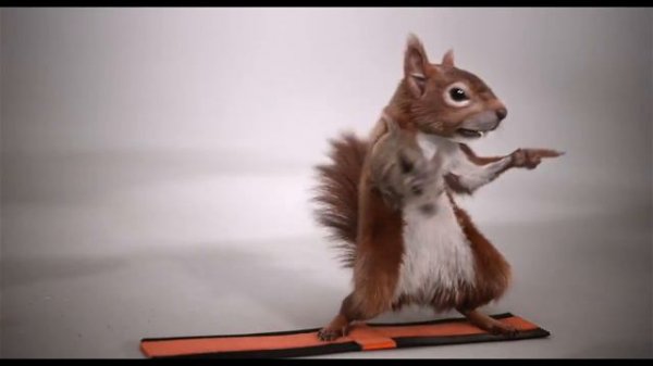 УДИВИТЕЛЬНОЕ ПУТЕШЕСТВИЕ ДОКТОРА ДУЛИТТЛА фильм 2020 Отбор актёров кроме людей savefrom net