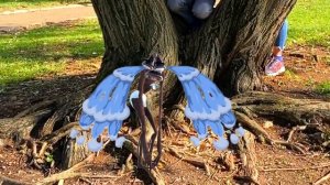 Siren Head in Real Life stories | Сиреноголовые вернулись в лес в нашу реальность