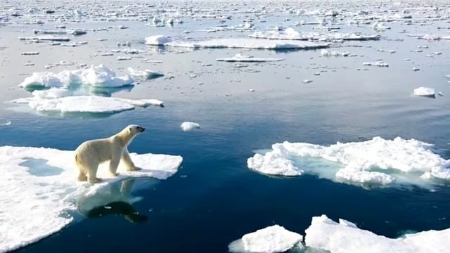 Где на Земле нет гравитации? смотреть онлайн