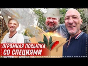 ПРИШЁЛ ГОДОВОЙ ЗАПАС СПЕЦИЙ / ГОТОВИМ БРИГАДОЙ НА ДАЧЕ МОШУБИРИНЧ