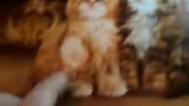 Обзор подарков на мой день рождения 3 часть смотреть онлайн