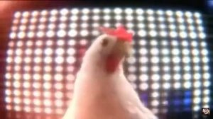 Смешные танцы курицы