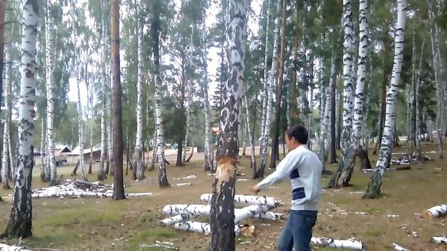 Рубим дерево засухший смотреть онлайн