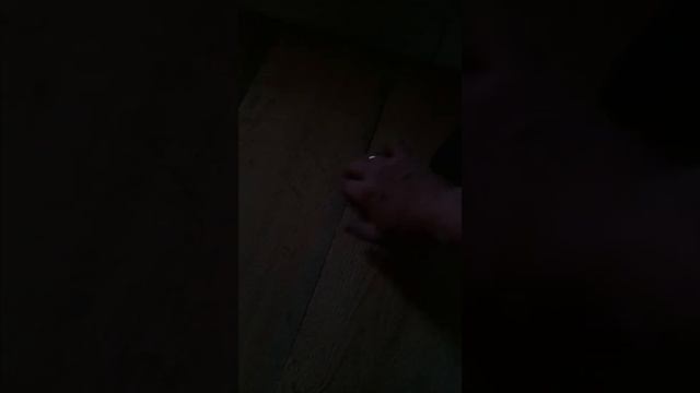 Как стянуть деревянный пол чтобы не скрипел (даска 40 мм) смотреть онлайн