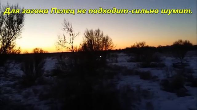 Охота на зайцев. смотреть онлайн