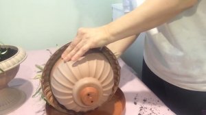 Гацания. Зимовка гацании. Размножение гацании