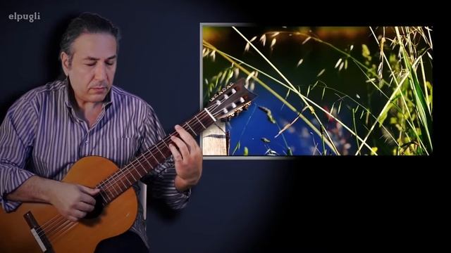 Se Equivocó La Paloma - Guitarra Clásica Pugliese -partitura