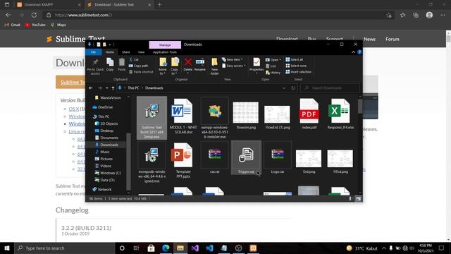 Tutorial Install Xampp & SublimeText dan cara penggunaan keduanya смотреть онлайн
