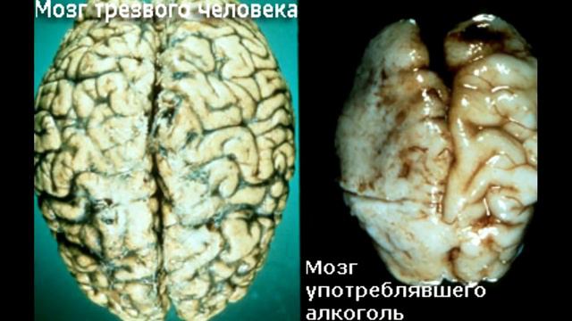 10 способов сэкономить деньги смотреть онлайн