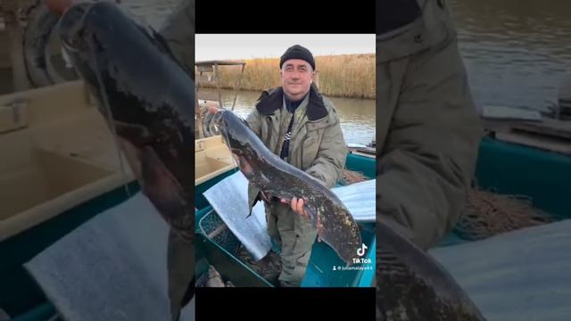 Астрахань рыбалка база отдыха лоцман. Рыбалка огонь ?