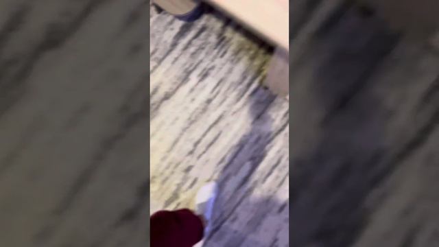 Покупочки/ OZON😍😍