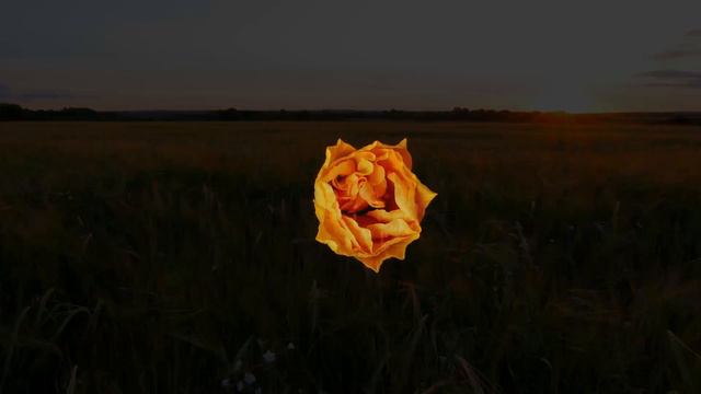 Отче наш - Николай Кедров - исп. Дмитрий Иванчей - Dmitry Ivanchey - Vater Unser - Our Father смотреть онлайн