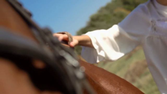 Красный конь. Динамичные ребята смотреть онлайн