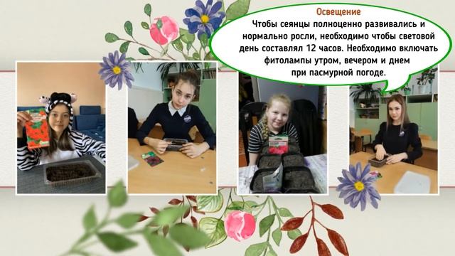 Акция "Подари цветок городу" фото и советы 1 смотреть онлайн