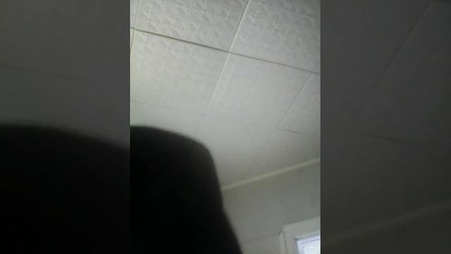 Вменяемые люди смотреть онлайн