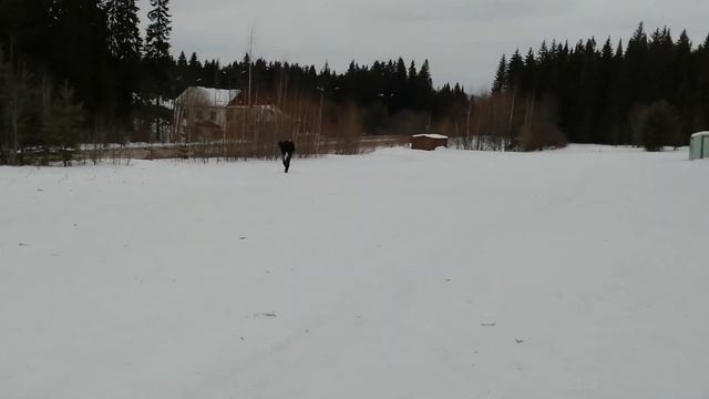 Первый сноуборд) смотреть онлайн