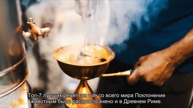 10 священных животных со всего мира смотреть онлайн