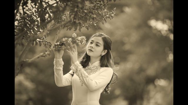 Best Chinese -Bamboo Flute Music, Relaxing Music for Meditation смотреть онлайн