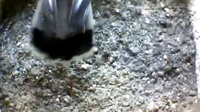 From Internet Camera(Turmfalken[03:1A:A5])2014/07/05,12:12:25_D смотреть онлайн