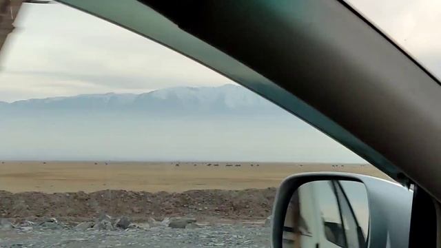 Как доехать из Алматы в Бишкек? | Автодорожный КПП Ак-Жол | Getting from Almaty to Bishkek смотреть онлайн