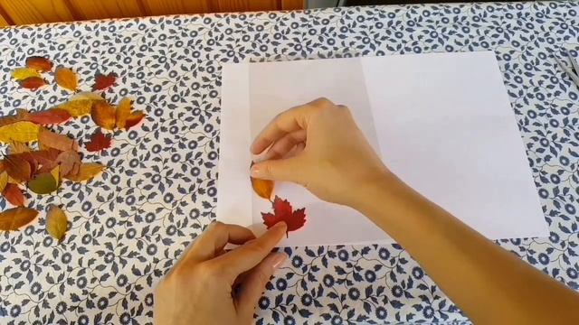 Easy Fall crafts with laminated leaves, Autumn DIY смотреть онлайн