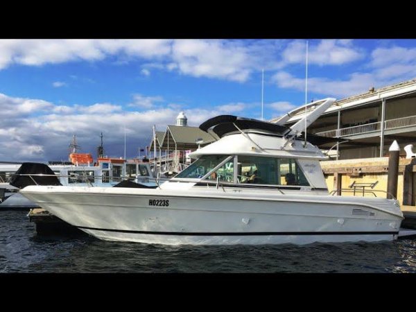 Обзор катера SEA RAY 290SFB.