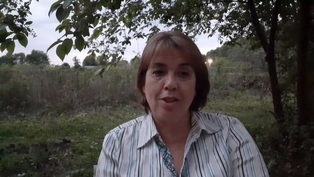 Рассуждения на закате. Вспомним детство смотреть онлайн