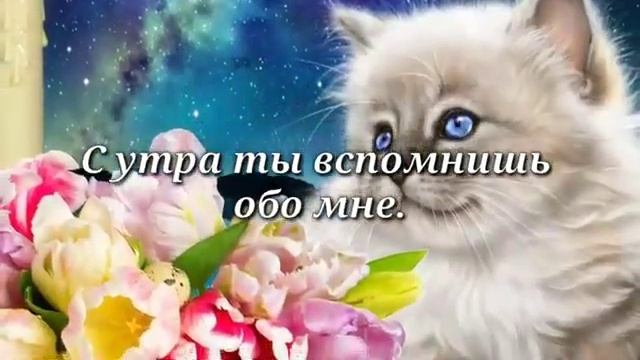 Спокойной ночи нежных снов смотреть онлайн