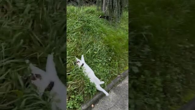 Хищник смотреть онлайн