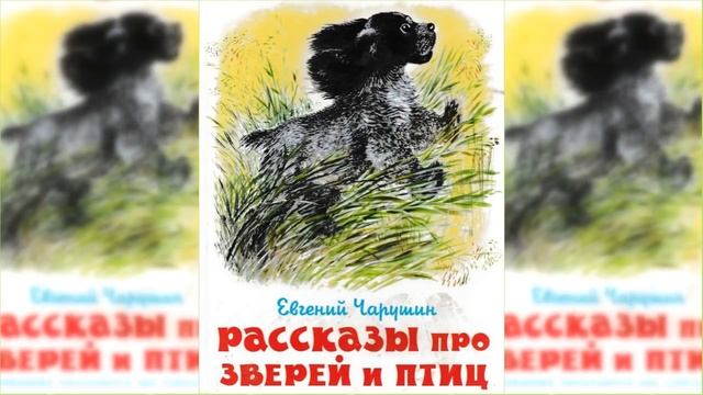 Про больших и маленьких / Сказка / Аудиосказка смотреть онлайн