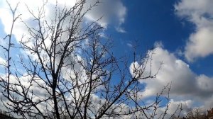 Приметы на Благовещение. Всё, что нужно знать о празднике.