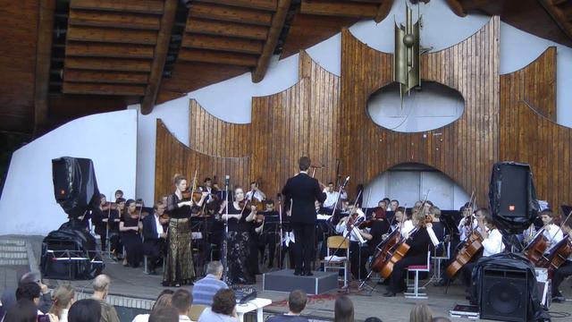 P. Sarasate "Navarra" for 2 violins and symphony orchestra / П. Сарасате "Наварра" смотреть онлайн